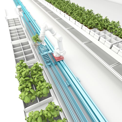 Vertical Farm.Harvest-1